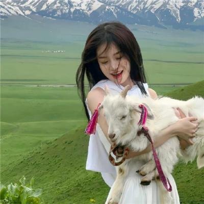 犬夜叉