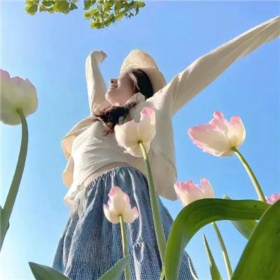 夏洛特时光